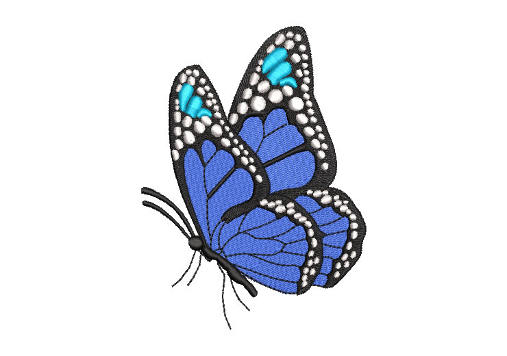 Black Butterfly with White Border Embroidery Designs